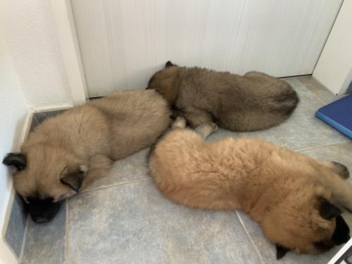 Zweiter Besuch 1