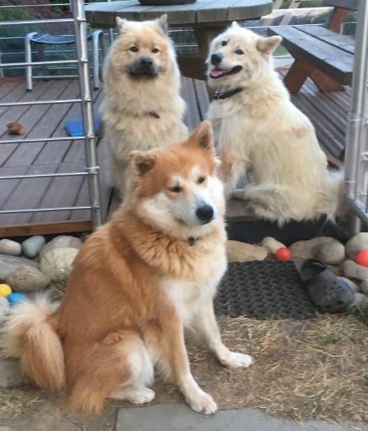 Alina, Bente und Djara