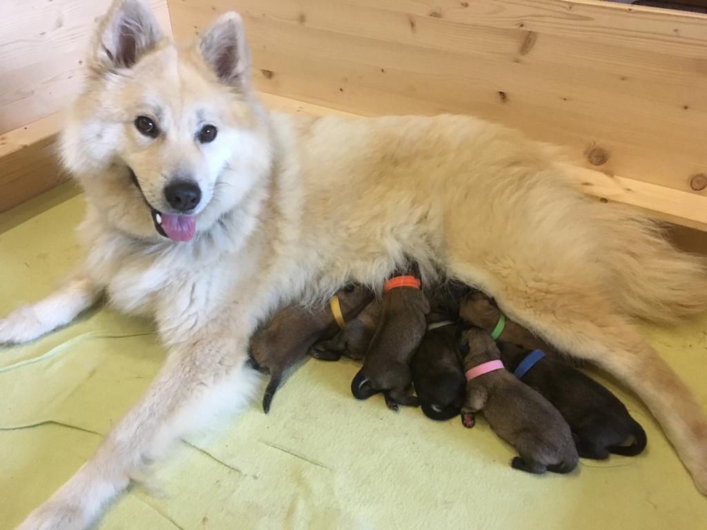 Mama Bente mt Babies